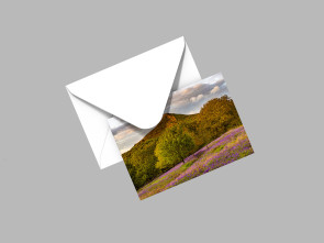 To buy a print or any of the below please click on the images